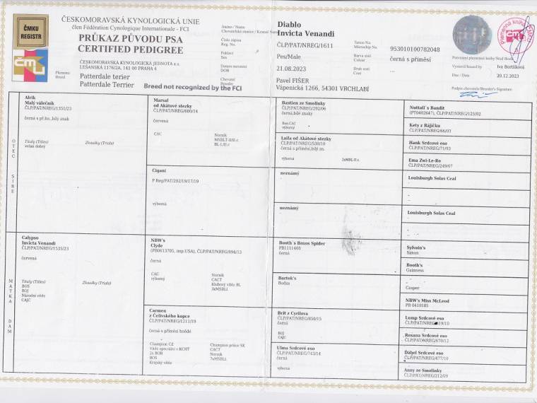 Diablo Invicta Venandi