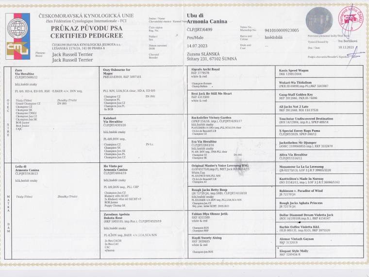 Ubu di Armonia Canina