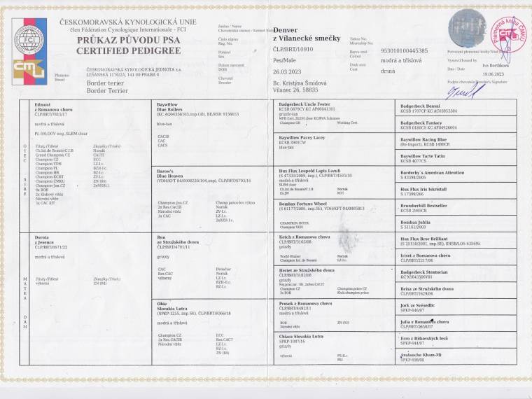 Denver z Vílanecké smečky