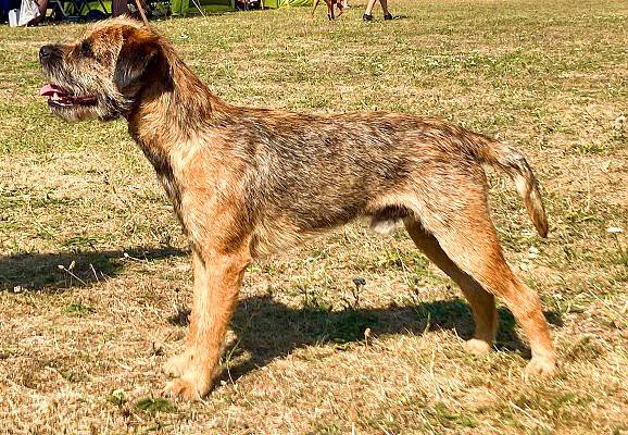 Axtoca's Nothing Else Matters