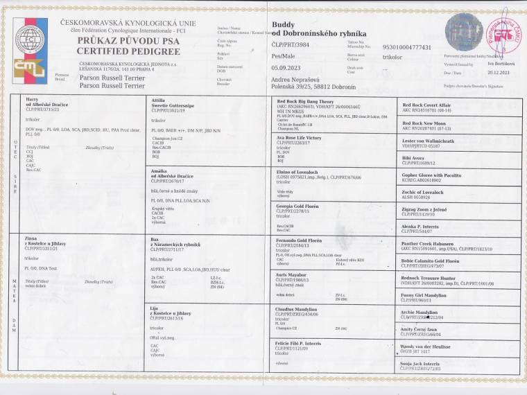 Buddy od Dobronínského rybníka