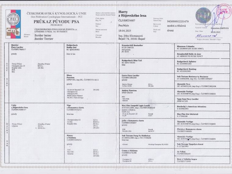 Harry z Hájovského lesa