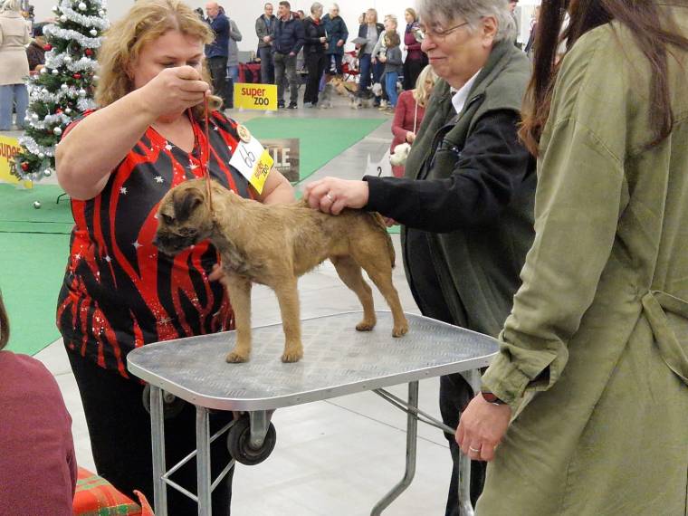 Famous Sissi pod Peperkem