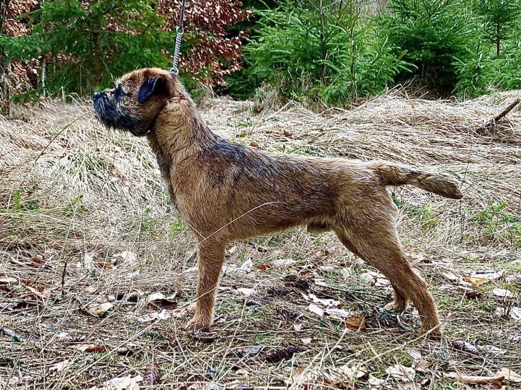 Axtoca's Nothing Else Matters