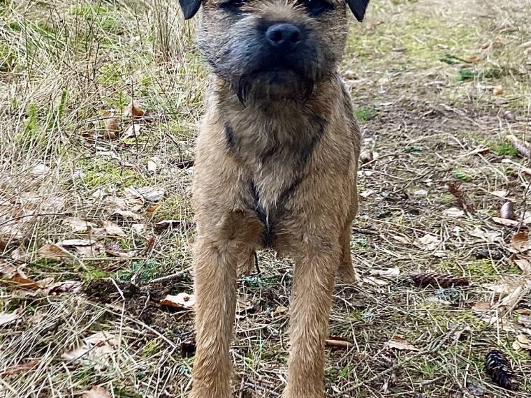 Axtoca's Nothing Else Matters