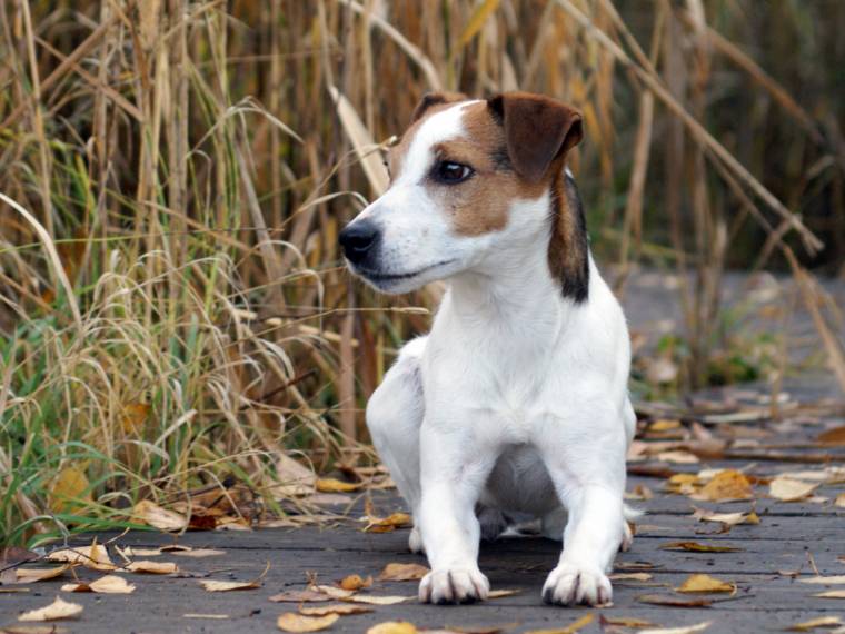 Beatrice Tarry la Vera Felicita
