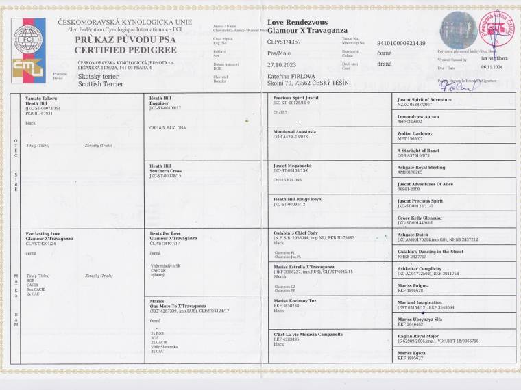 Love Rendezvous Glamour X'Travaganza