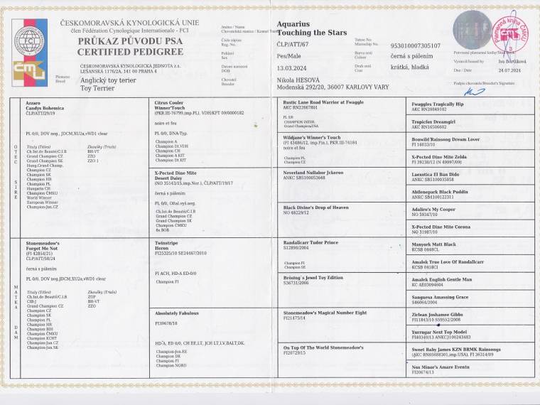 Aquarius Touching the Stars