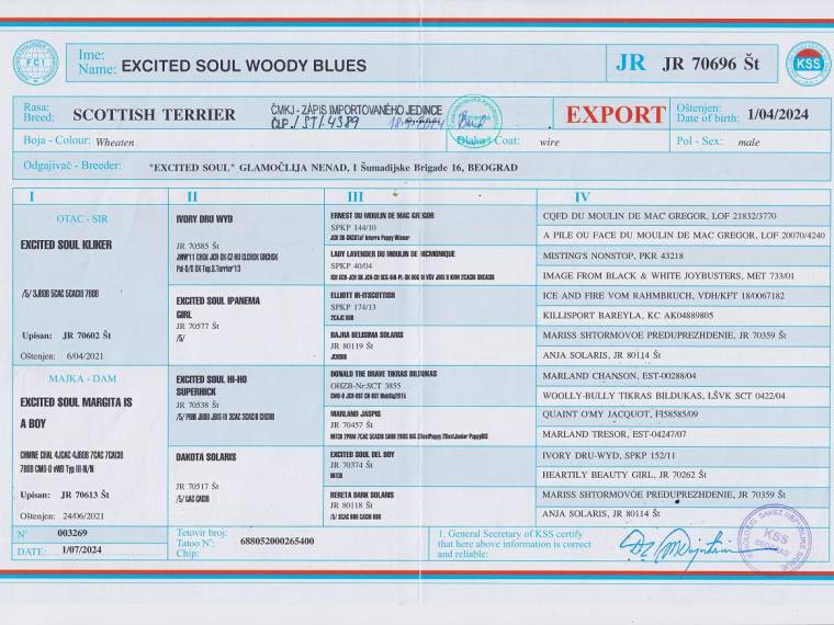 Woody Blues Excited Soul