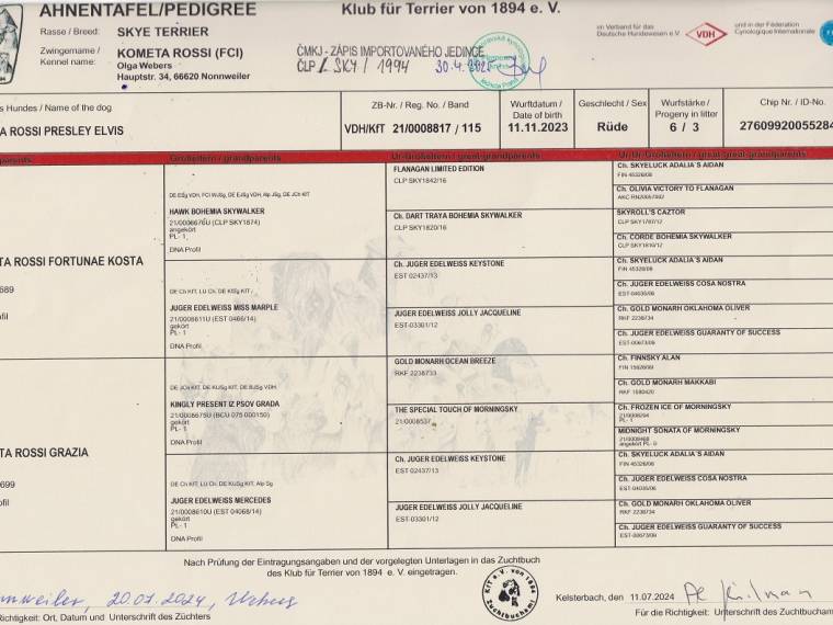 Presley Elvis Kometa Rossi