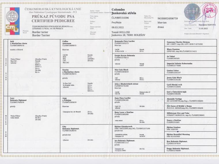 Colombo Jankovská střela