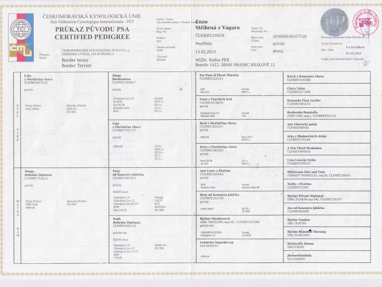 Enzo Stříbrná z Vagaru