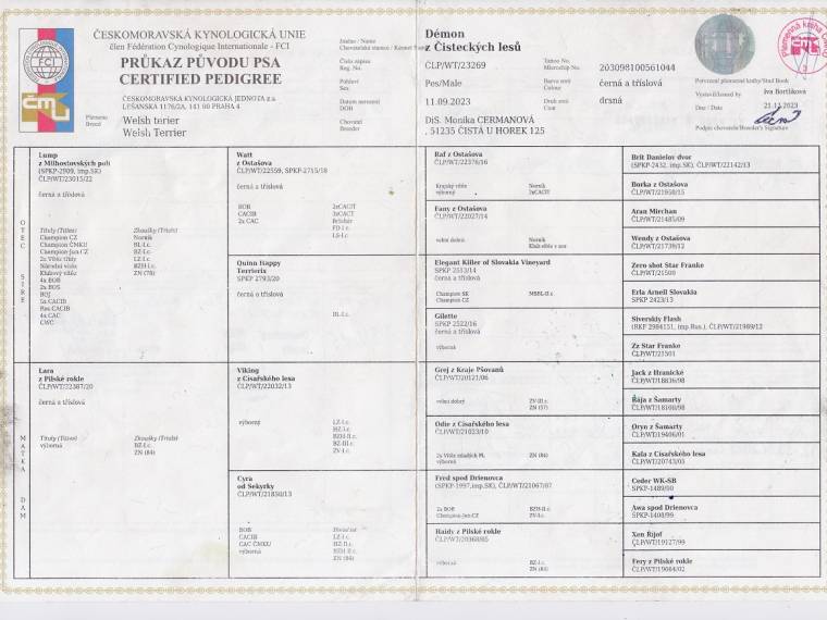 Démon z Čisteckých lesů