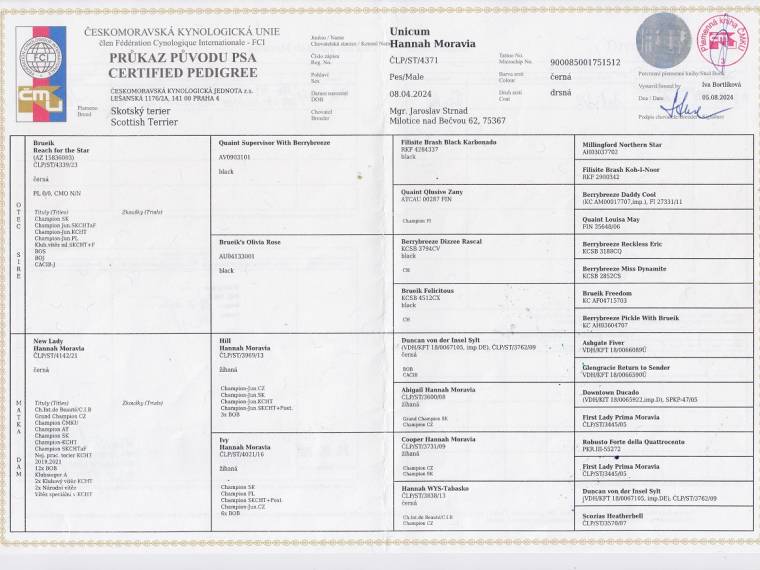 Unicum Hannah Moravia