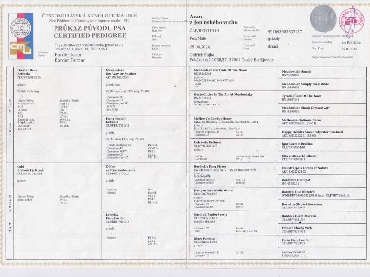 Aran z Jenínského vrchu