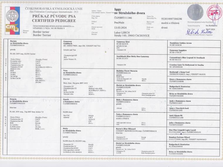 Iggy ze Stružského dvora