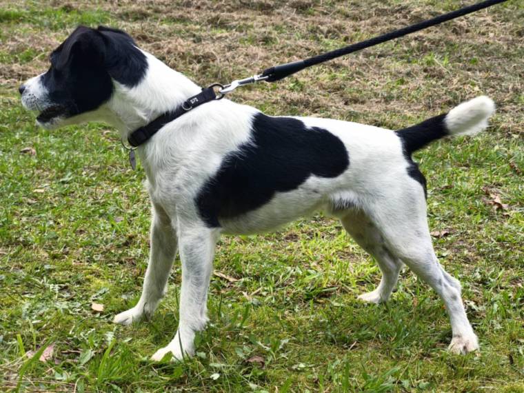 Chase Murphy Black Bubble