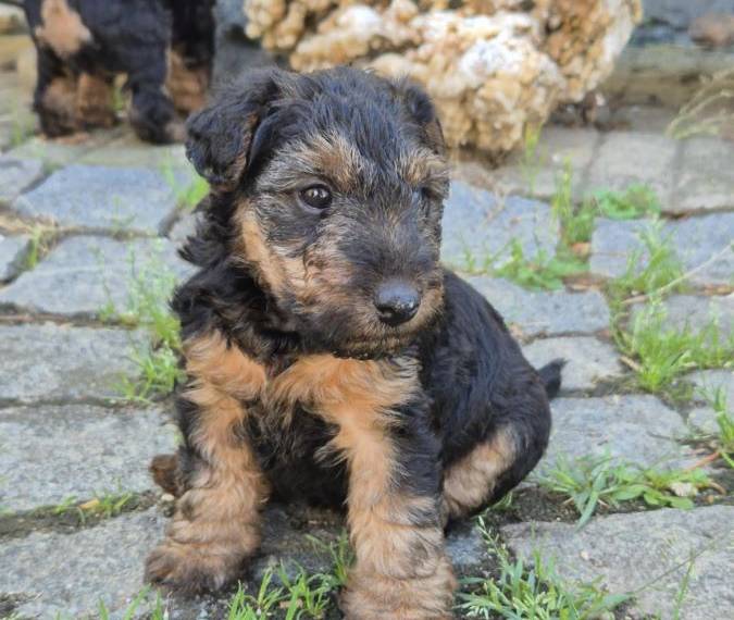 Vrh G Žanetino srdce