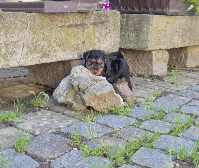 Vrh G Žanetino srdce