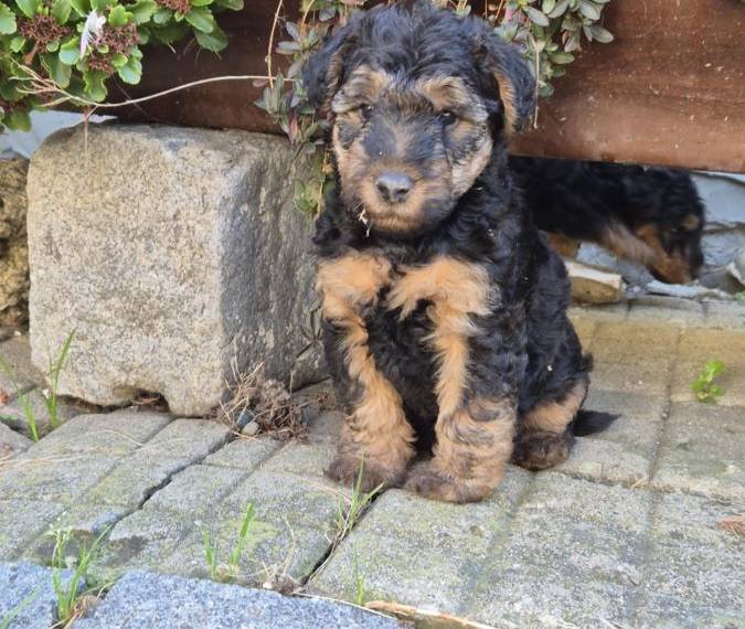 Vrh G Žanetino srdce