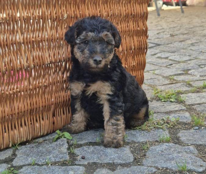 Vrh G Žanetino srdce