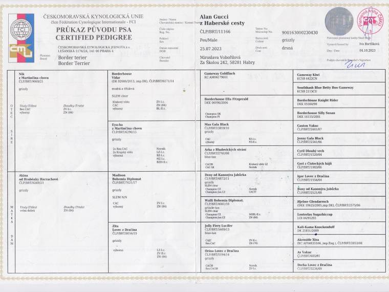 Alan Gucci z Haberské cesty