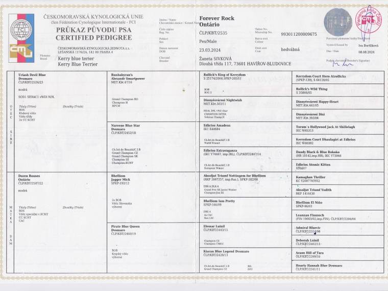 Forever Rock Ontário