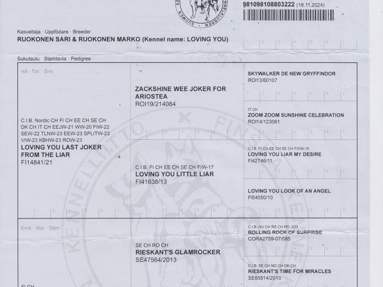 Loving You Lured by the Ranger