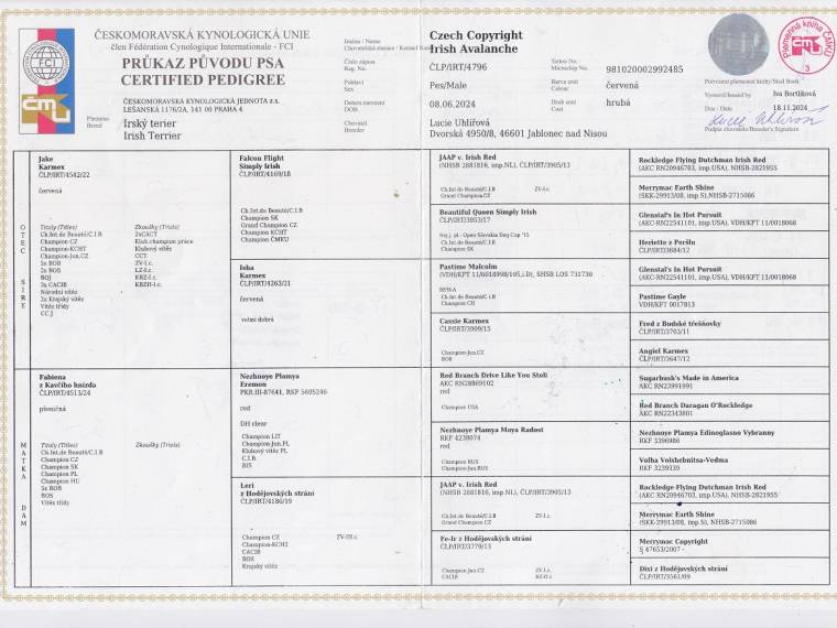 Czech Copyright Irish Avalanche