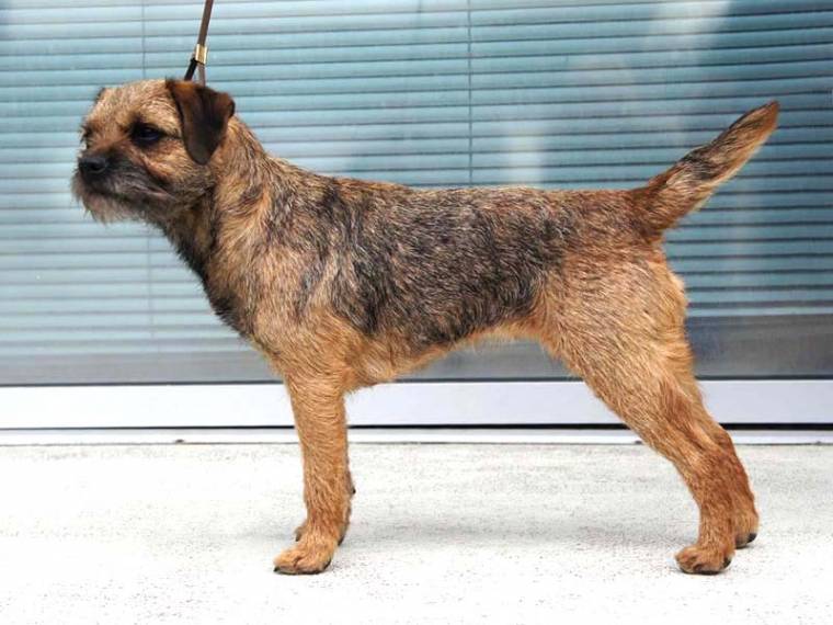 Kicking Kite Kuburumba