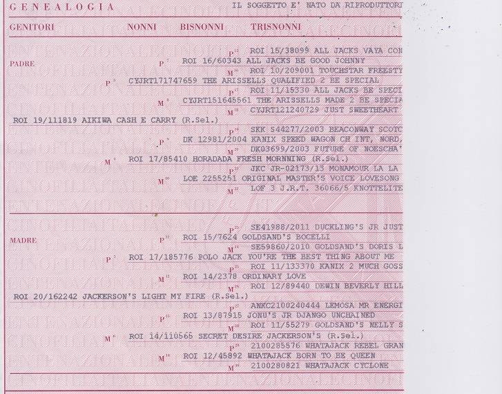 Wimbledon Jackerson's