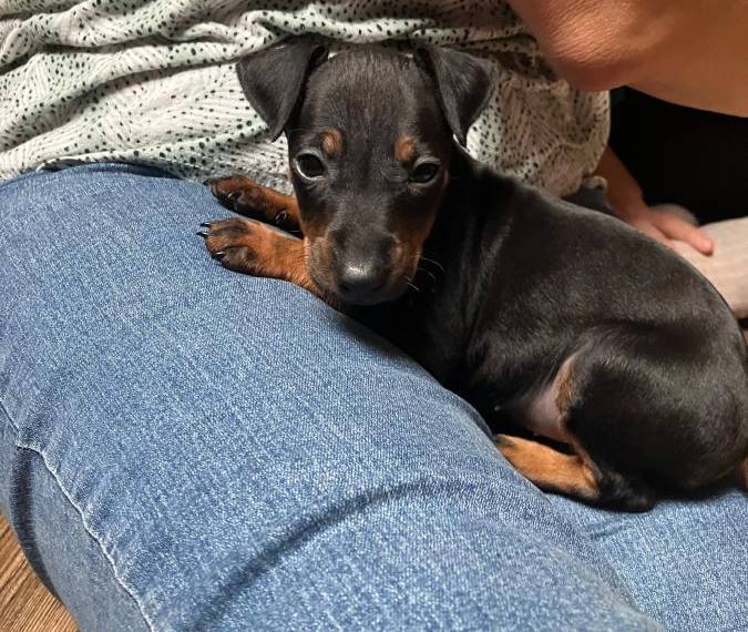 Vrh S ze Zámecké zahrady