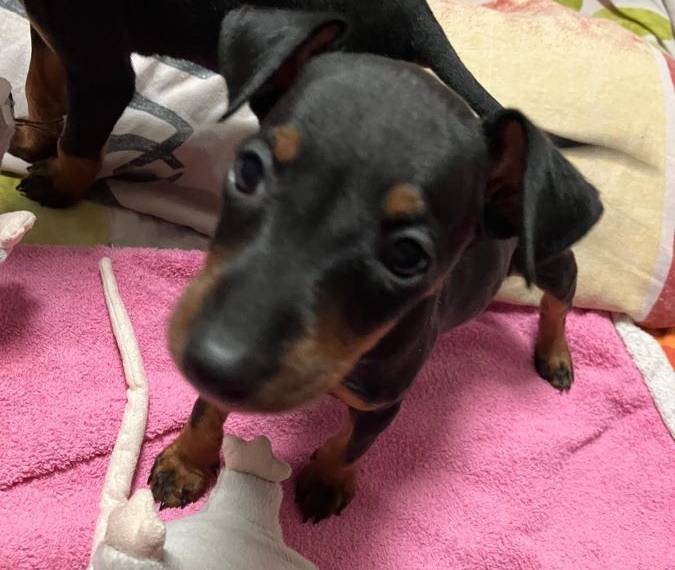 Vrh S ze Zámecké zahrady