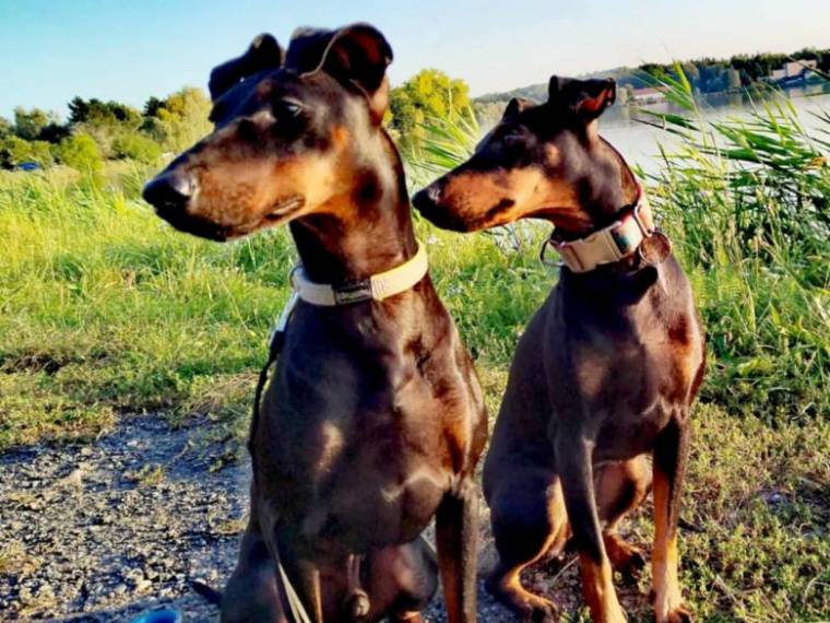 Vrh S ze Zámecké zahrady