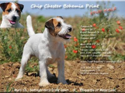 Chip Chester Bohemia Point