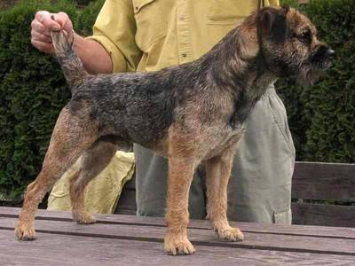 Van Der Valk Borderhouse