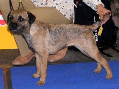 Her Highness Kuburumba