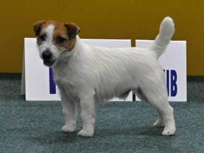 Alias Sonny Dynamic Life