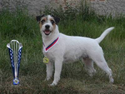 Quiet Riot by Kelsie Libami