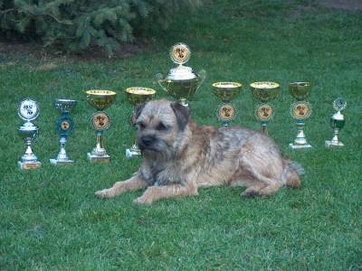 Darpi ze Stružského dvora