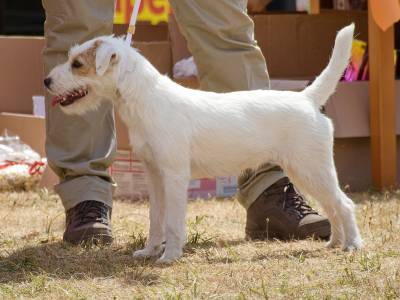 Mia Jessy Kutcher - Chan