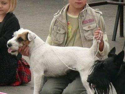 Frony Kutcher - Chan