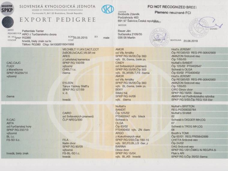 Airo z Turčianskeho dvora