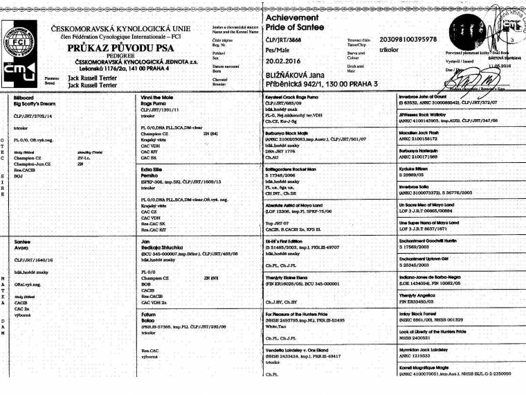 Achievement Pride of Santee