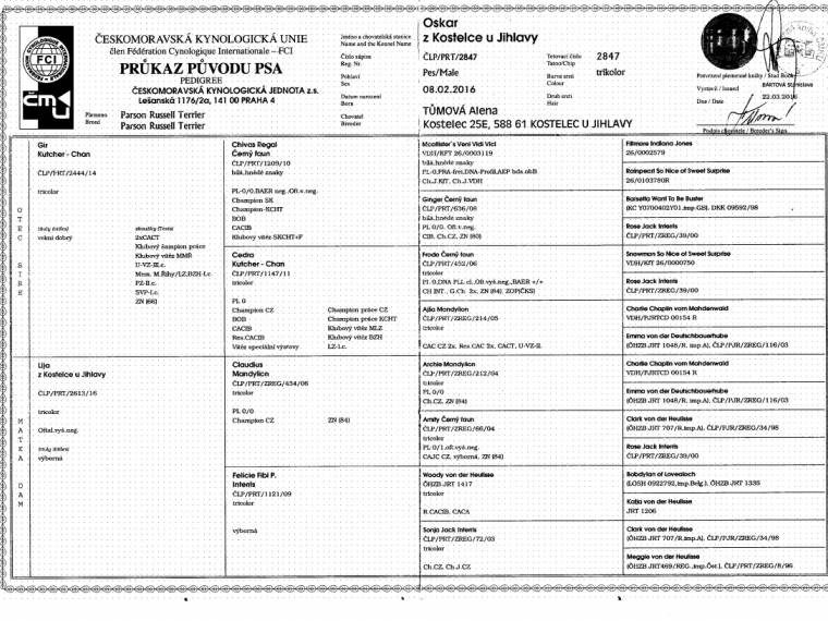 Oskar z Kostelce u Jihlavy