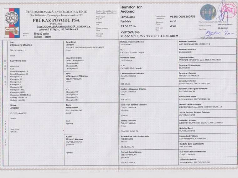 Hemilton Jan Arebred