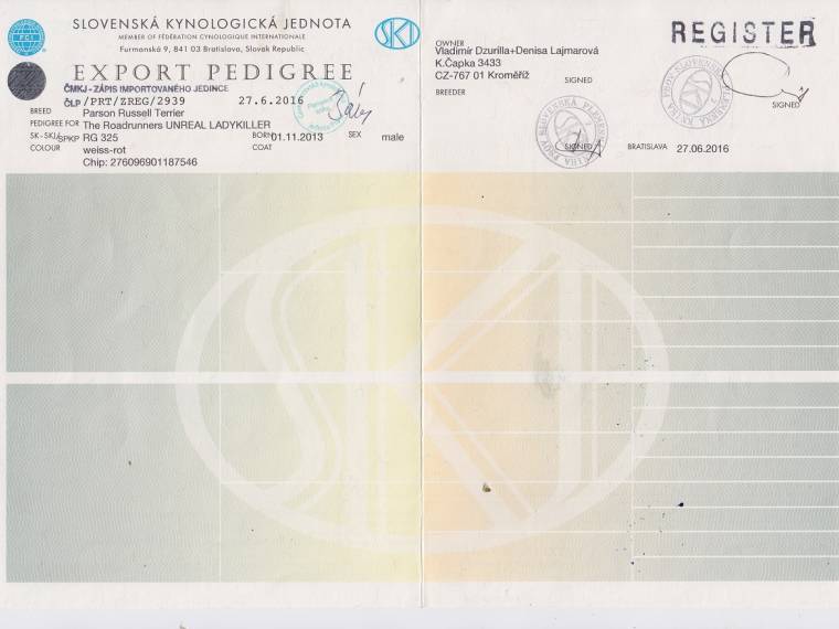 Unreal Ladykiller The Roadrunners